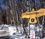 Une chouette activité pour la relâche