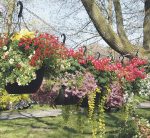 Le Marché du printemps s’installe au Jardin Daniel A. Séguin