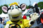 Expo : quatre jours de festivités