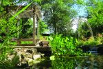 Les visiteurs attendus dans la région