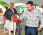 Des enjeux agricoles sur la glace