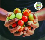 Les Matinées gourmandes de passage à Saint-Valérien-de-Milton