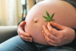 La consommation de cannabis pendant la grossesse