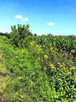 Des producteurs agricoles se mobilisent pour l’eau
