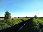 Un projet pour la protection des bandes riveraines