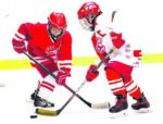 Hockey mineur : joueurs recherchés!