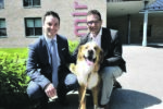 Des chiens accompagnateurs dans les palais de justice