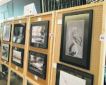 Exposition du Club photo Saint-Hyacinthe