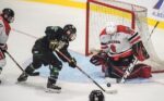 Défaite crève-cœur de nos Gaulois en finale du championnat national M18