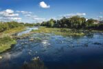 Ville de Saint-Hyacinthe : des subventions pour végétaliser les berges