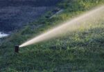 Juillet à Saint-Hyacinthe : un mois sans pouvoir arroser son gazon