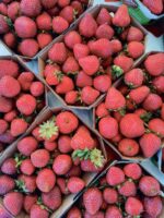 Faites le plein de produits locaux aux Matinées gourmandes de Saint-Damase