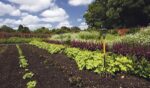Conférence horticole à la Société d’horticulture de Saint-Hyacinthe