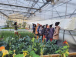 Des producteurs agricoles africains en visite à Saint-Hyacinthe