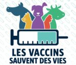 5 excellentes raisons de faire vacciner votre animal de compagnie