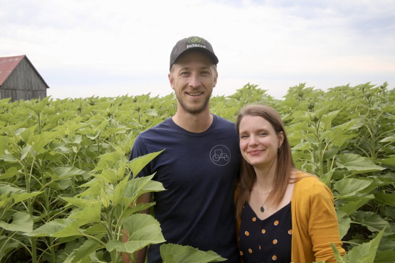 Les propriétaires de Canard du village, Gabriel Beauchemin et Alice De Guise, vous invitent à venir admirer leurs tournesols en fleur et leurs canards, les 10 et 11 août, de 10 h à 16 h, à Saint-Pie. Photothèque | Le Courrier ©