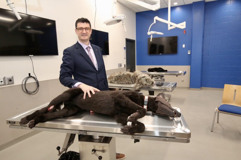 Le doyen de la Faculté de médecine vétérinaire, David Francoz, était heureux de dévoiler le tout nouveau Centre de simulation. Photothèque | Le Courrier ©