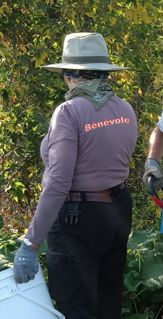 Le Boisé des Douze recherche des bénévoles