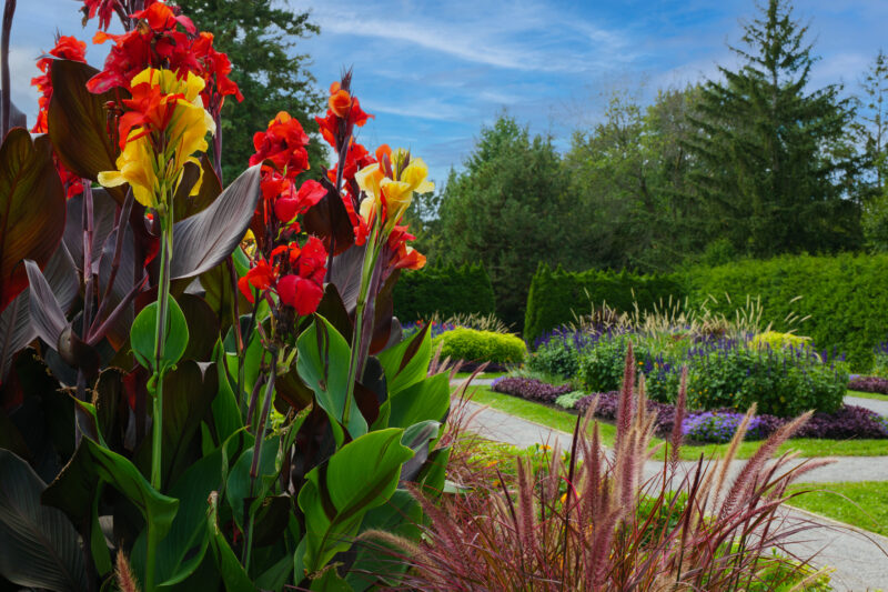 Le Jardin Daniel A. Séguin a lancé sa saison le 21 juin. Photo Studios Drakkar