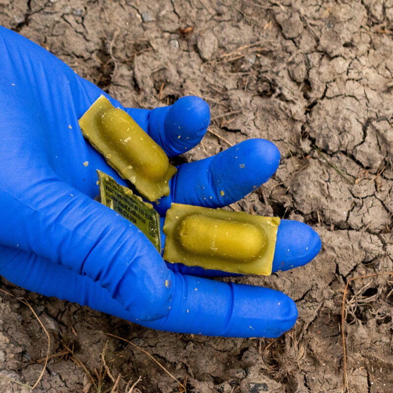 Les appâts vaccinaux contre la rage du raton laveur. Photo Facebook ministère de l’Environnement, de la Lutte contre les changements climatiques, de la Faune et des Parcs