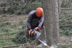 Saint-Hyacinthe resserre les règles entourant l’abattage d’arbres sur son territoire